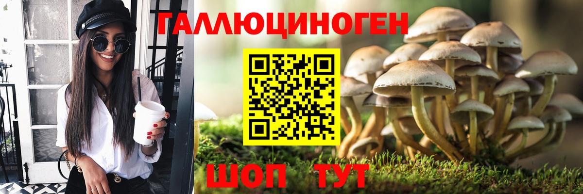 Псилоцибиновые грибы Magic Shrooms Черкесск