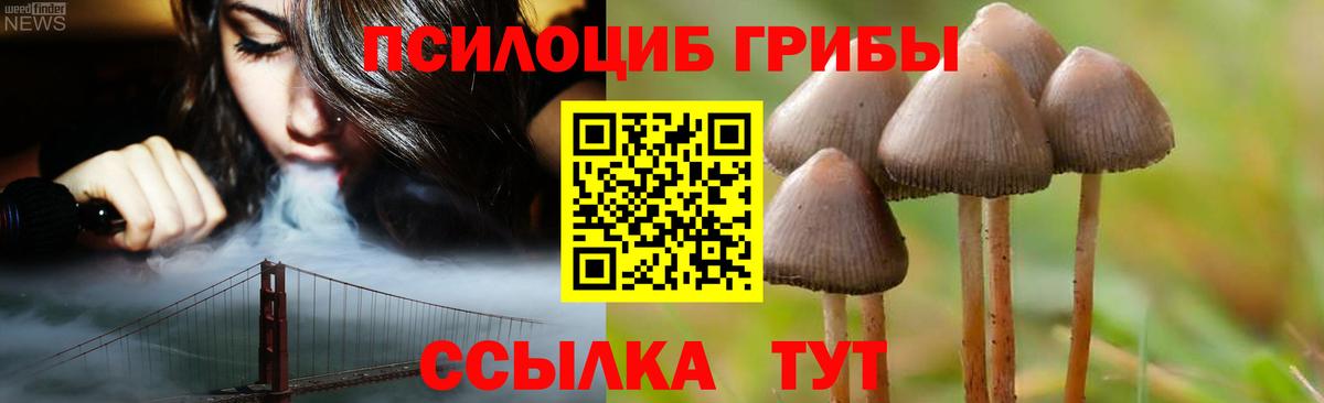 Псилоцибиновые грибы MAGIC MUSHROOMS  Галлюциногенные грибы Cubensis  Черкесск  хочу наркоту  Вход с VPN 